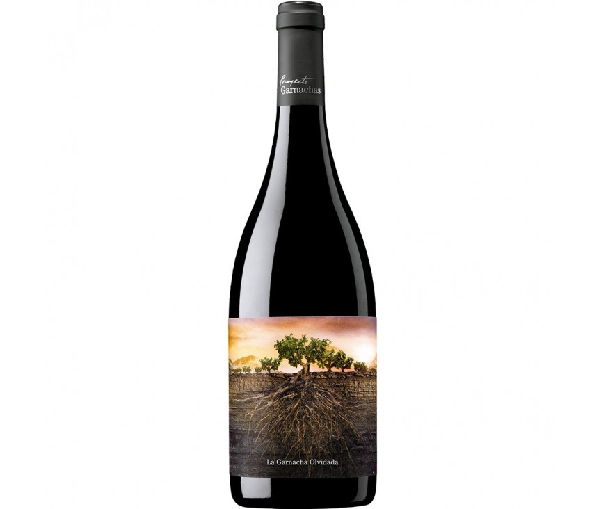 vino tinto la garnacha olvidada de aragon