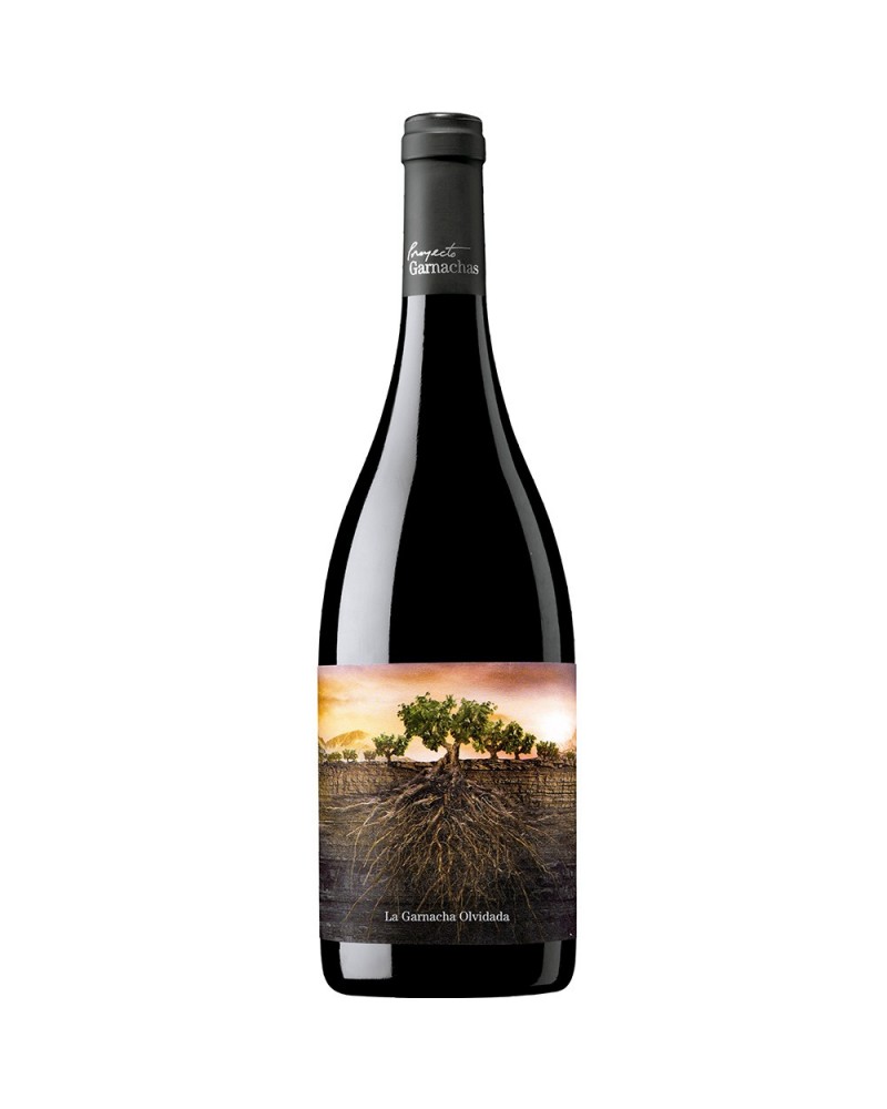vino tinto la garnacha olvidada de aragon