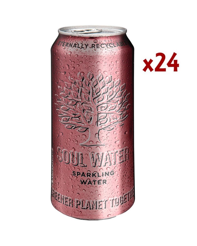 Soul water sparkling 50cl. caja 24 unidades