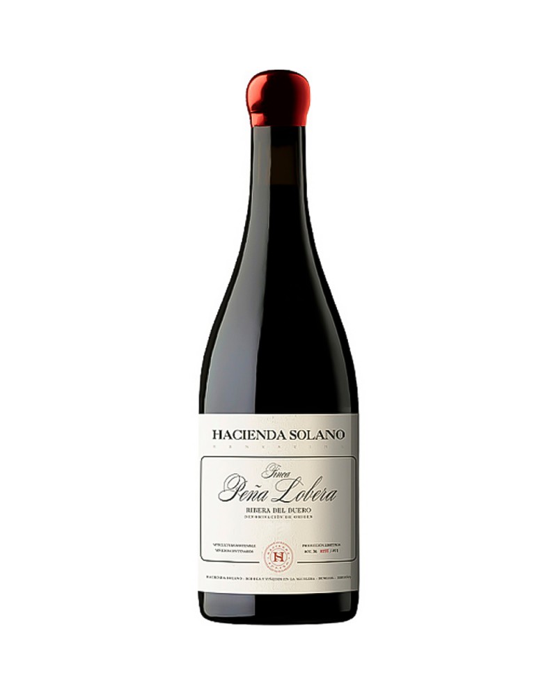 Hacienda Solano Finca Peña Lobera 2021