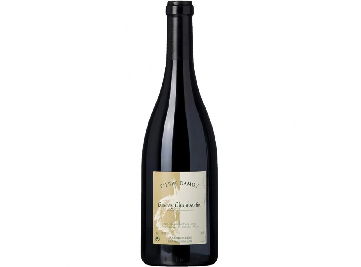 Buy Damoy Gevrey-Chambertin 2020 | Campoluz Enoteca