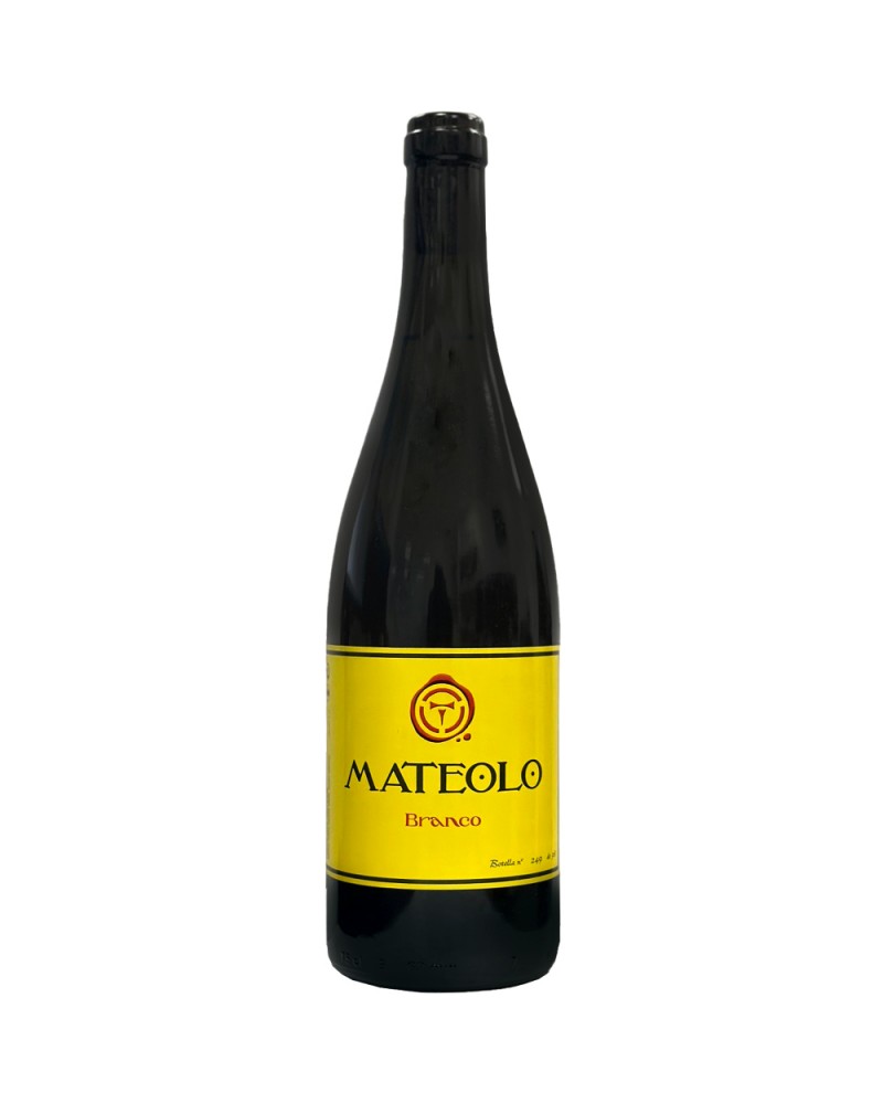 Adega Entrecantos Mateolo Branco 2025