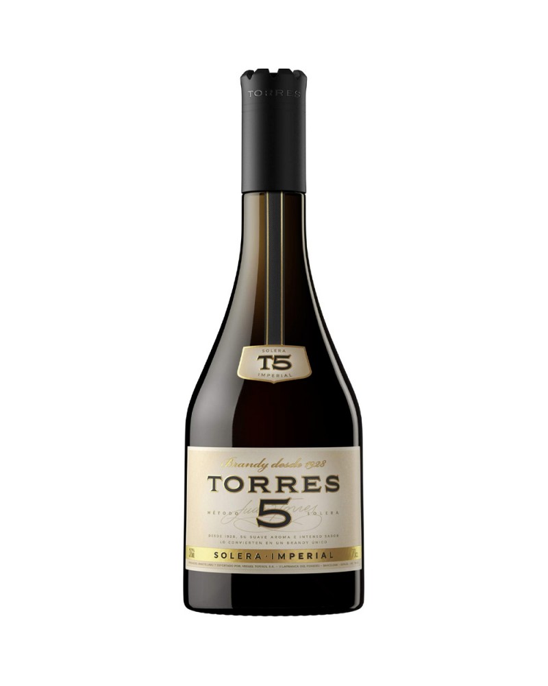 Brandy Torres 5