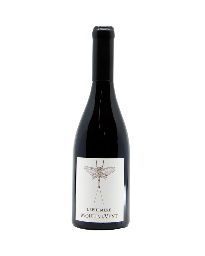 Desjourneys Moulin a Vent L'ephemere 2022