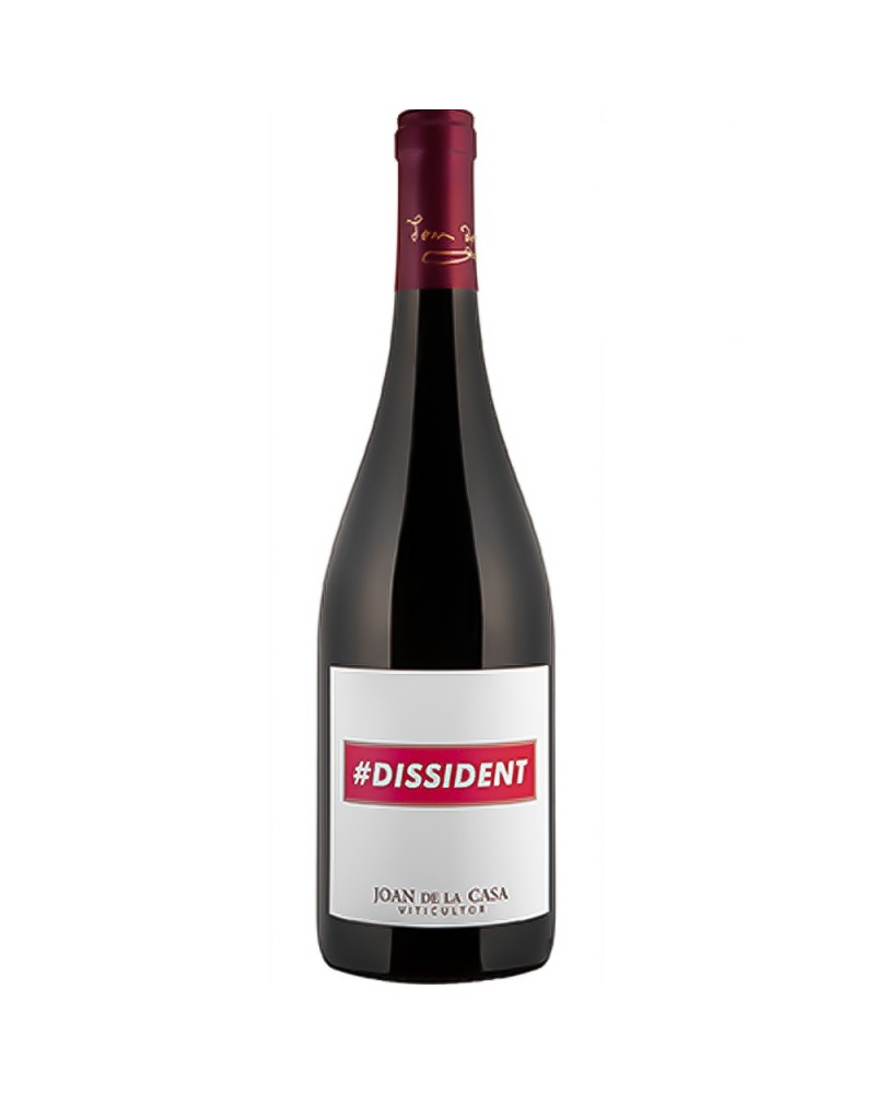 Joan de la Casa Dissident 2019