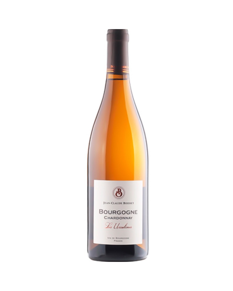 JC Boisset Nuits Saint Georges les Ursulines 2022