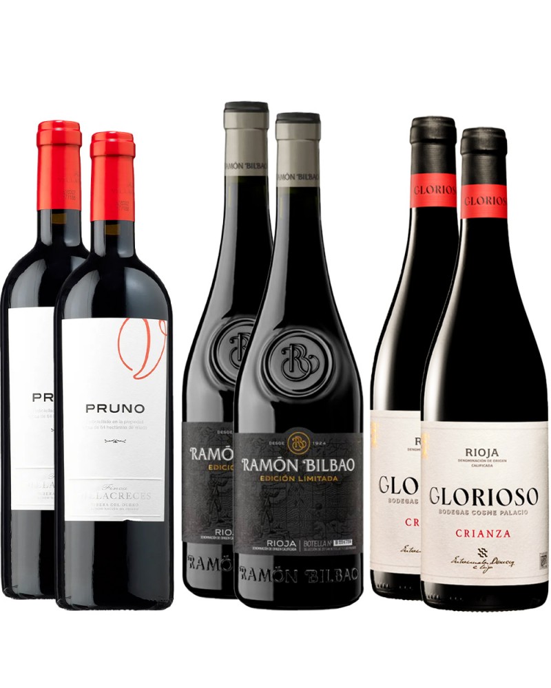 Pack 6 botellas Gourmet