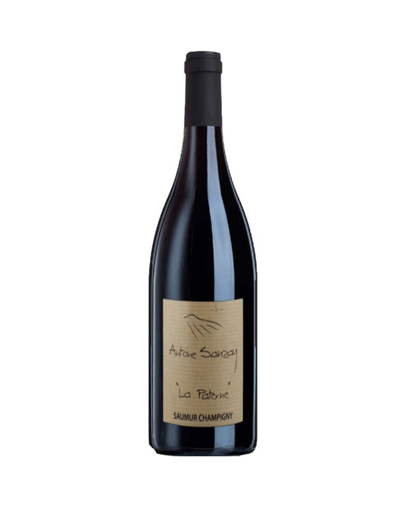 Antoine Sanzay Saumur-Champigny La Paterne 2022 Magnum 150Cl.