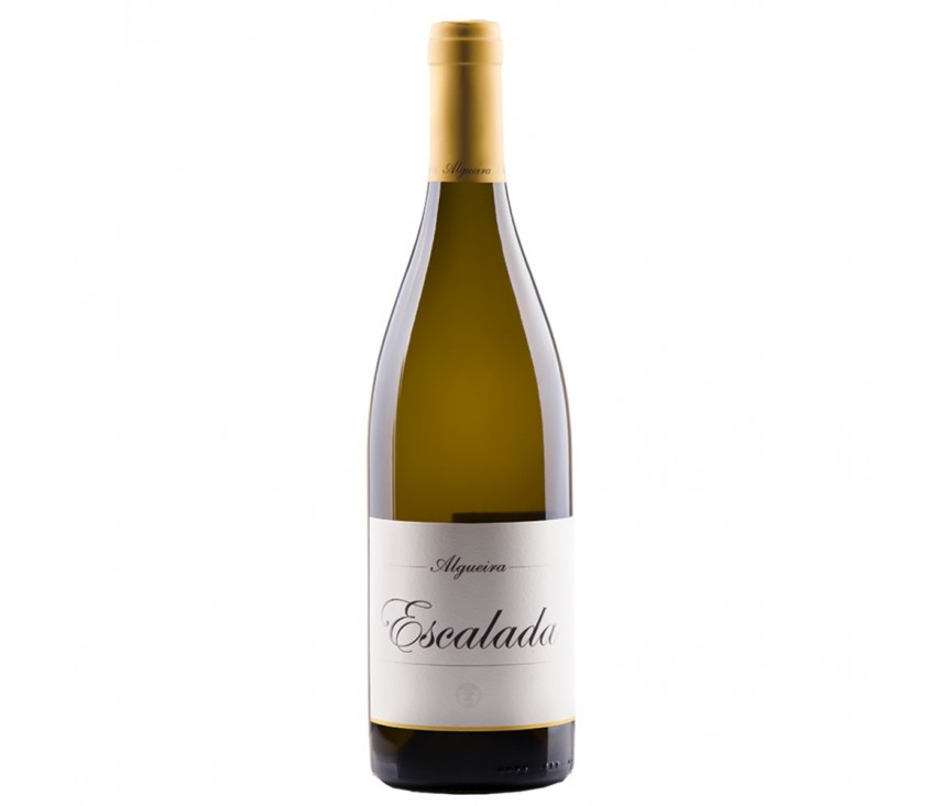 Algueira Mencia 2019 75Cl.