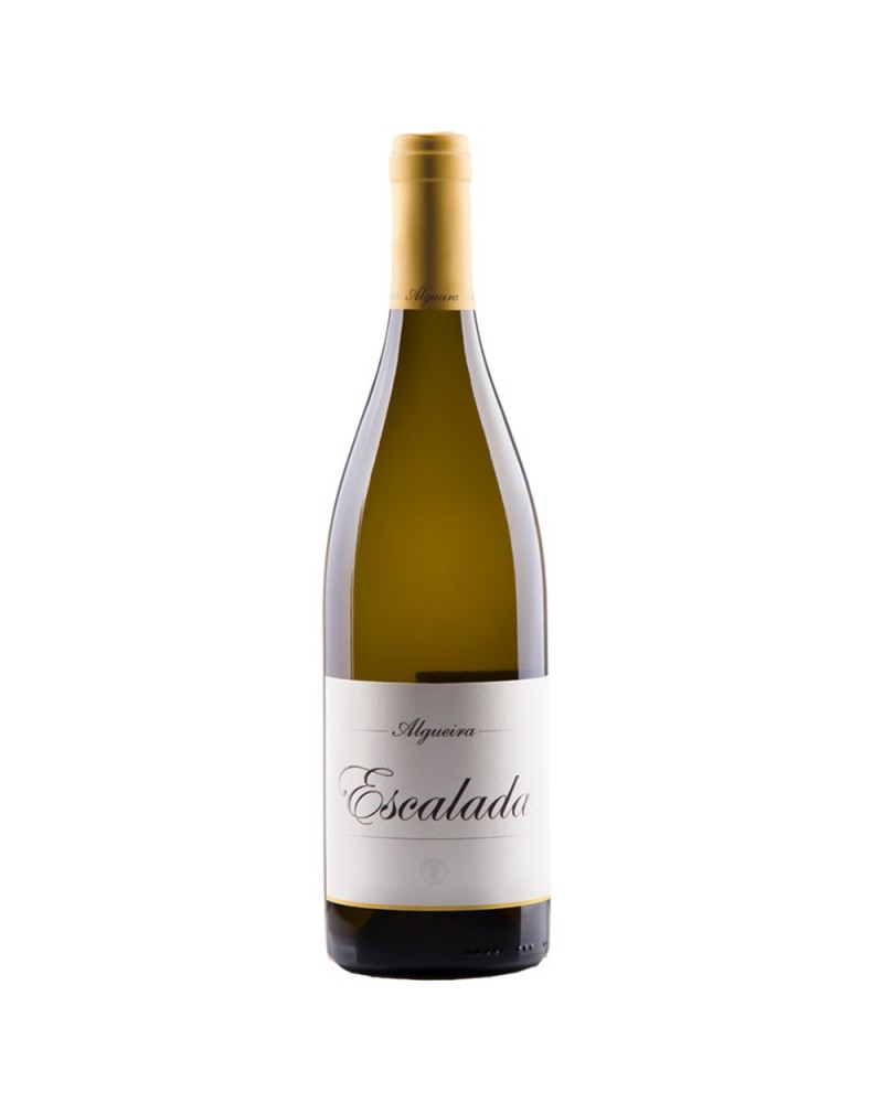 Algueira Mencia 2019 75Cl.