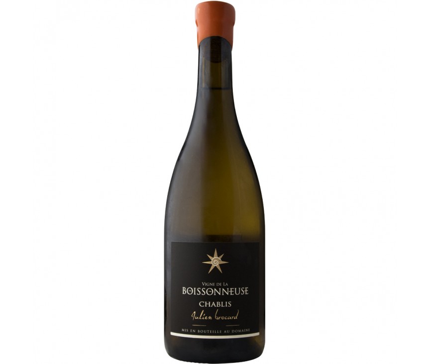 Julien Brocard Boissonneuse