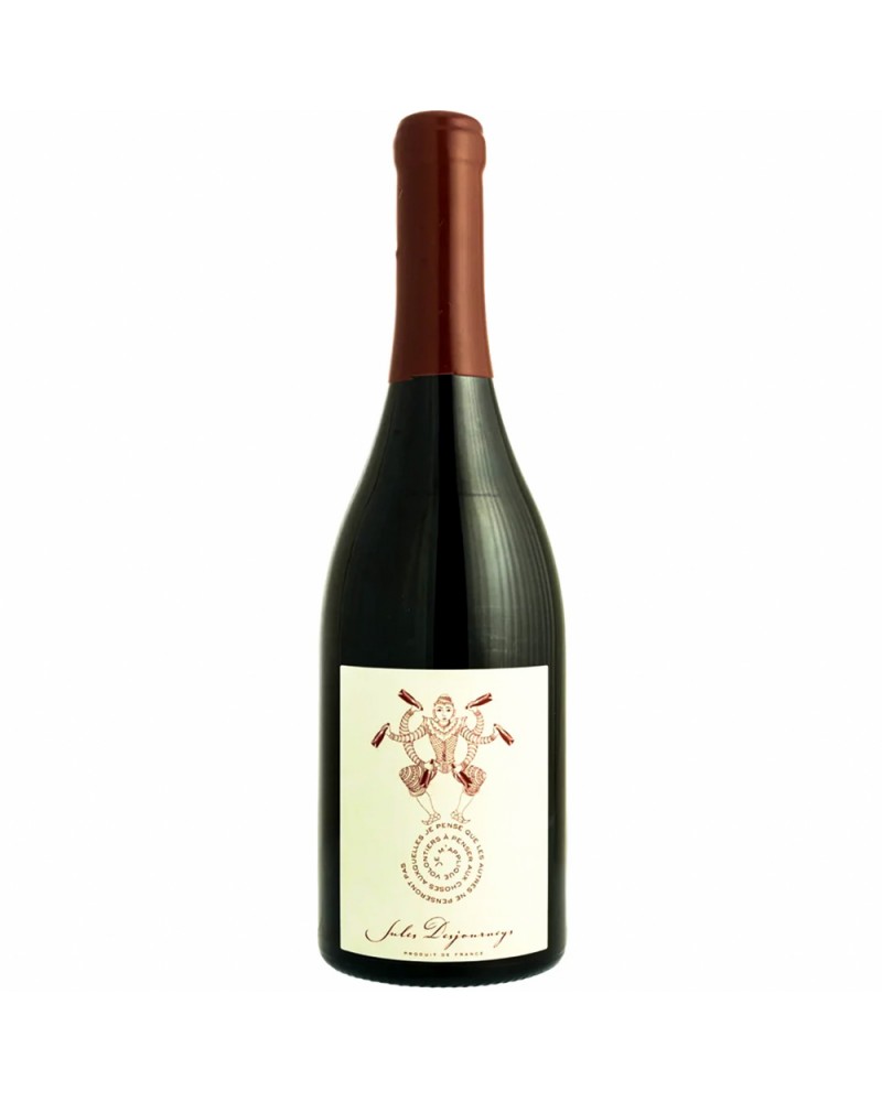 Domaine Jules Desjourneys Beaujolais 2022