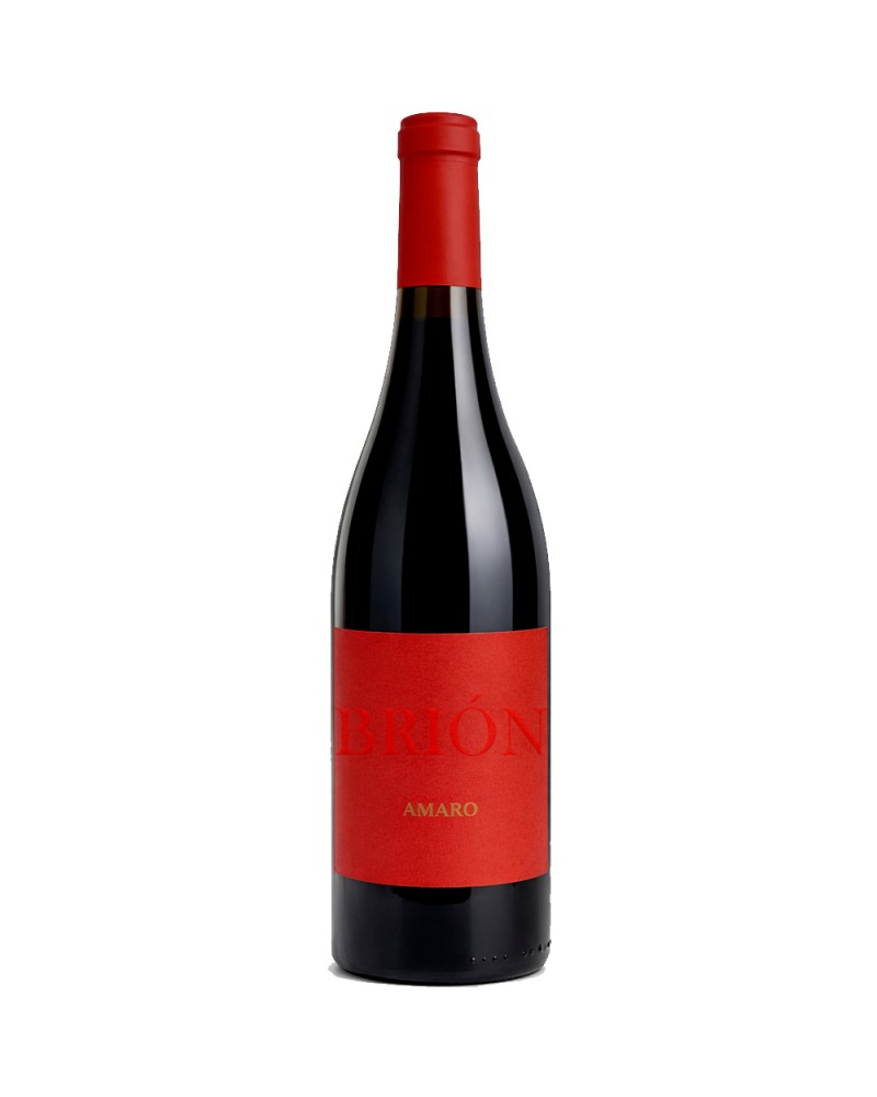 Brion Amaro Mencía 2023