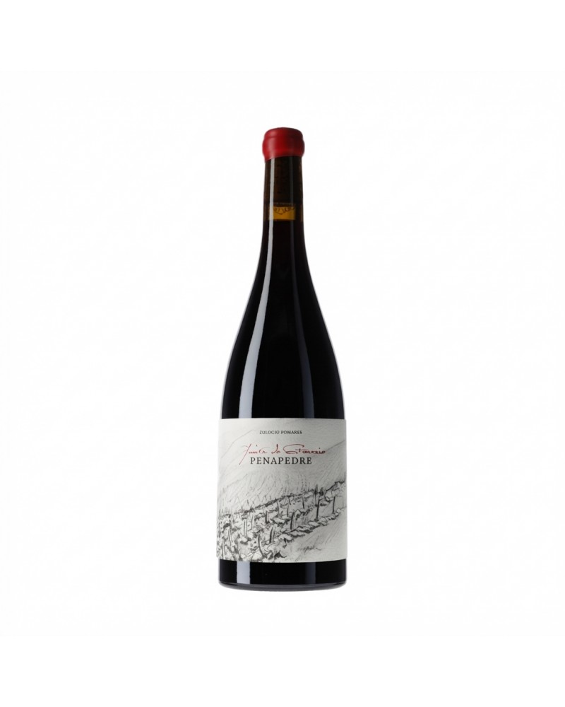 Quinta do Estranxeiro Finca Penapedre 2022