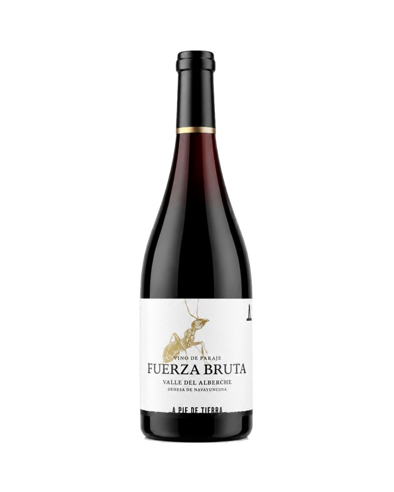 A Pie de Tierra Fuerza Bruta 2024