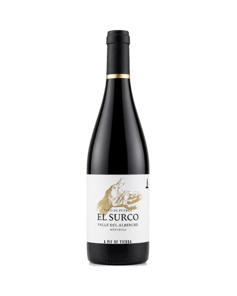 A Pie de Tierra El Surco 2024