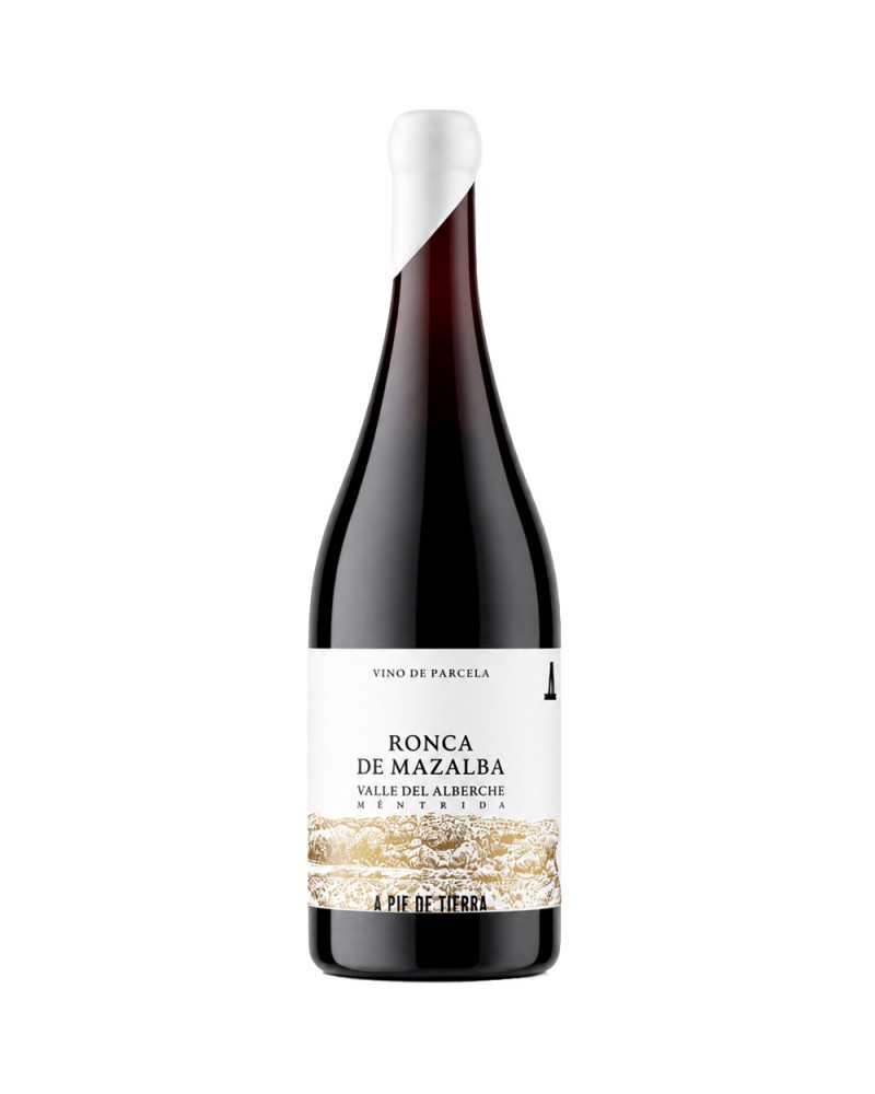 A Pie de Tierra Ronca de Mazalba 2024