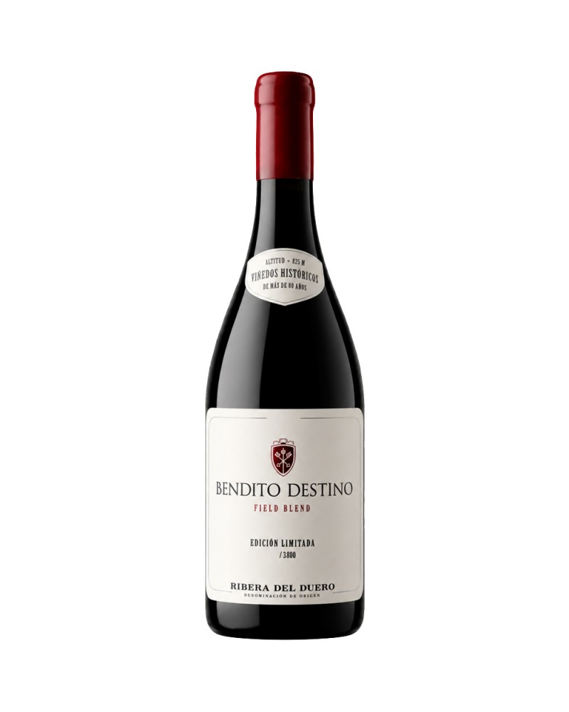 Bendito Destino Field Blend 2023