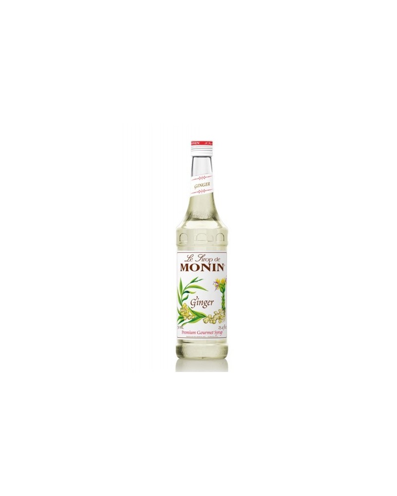 sirope monin jengibre - monin ginger syrup