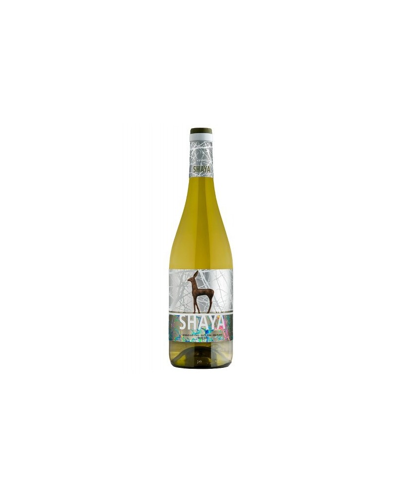 shaya - comprar shaya - comprar vino rueda - rueda - vino blanco - blanco