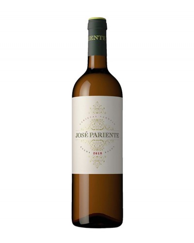jose pariente verdejo - vino blanco rueda - verdejo - jose pariente