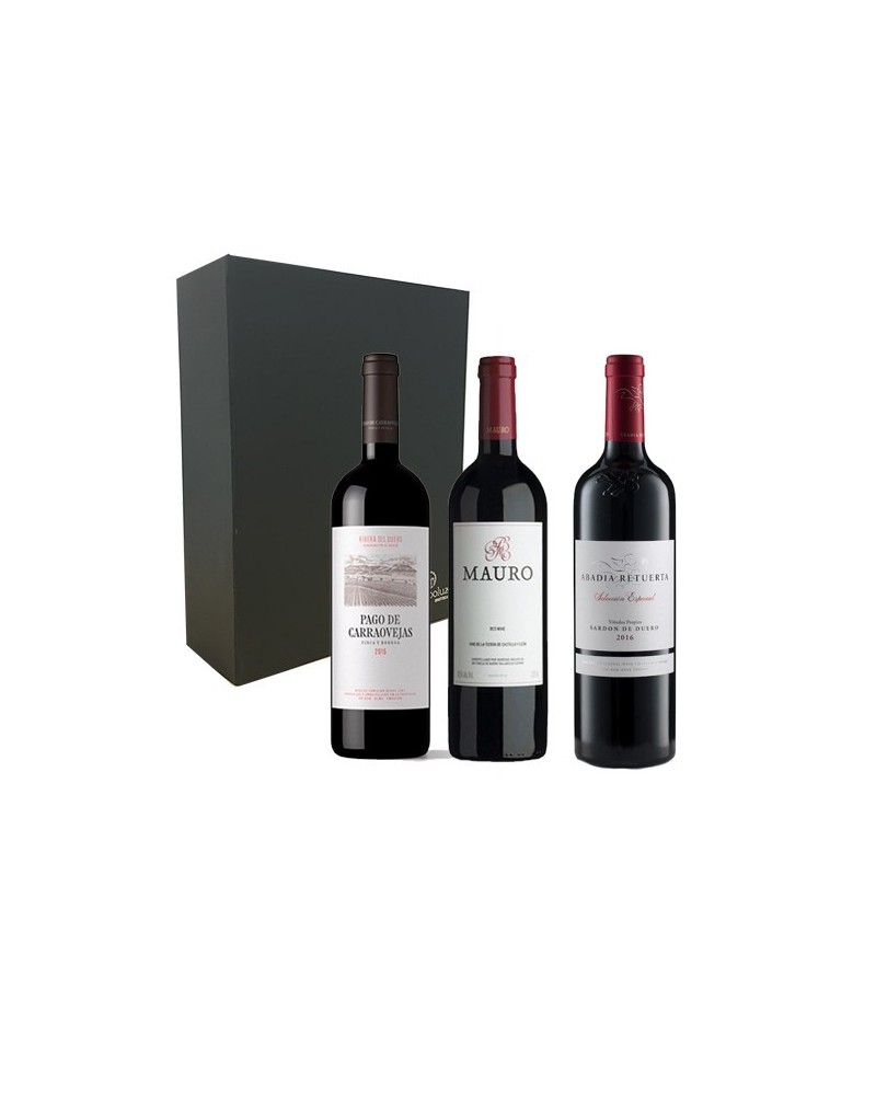 Estuche Pago de Carraovejas & Mauro & Aalto