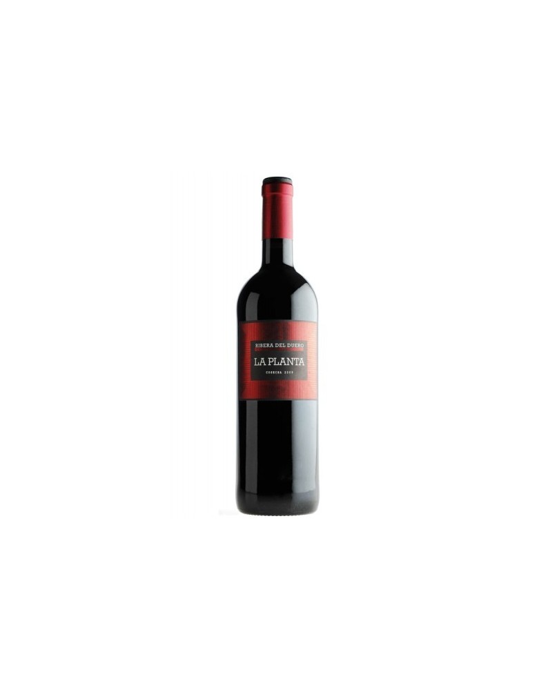 La Planta Magnum 2023