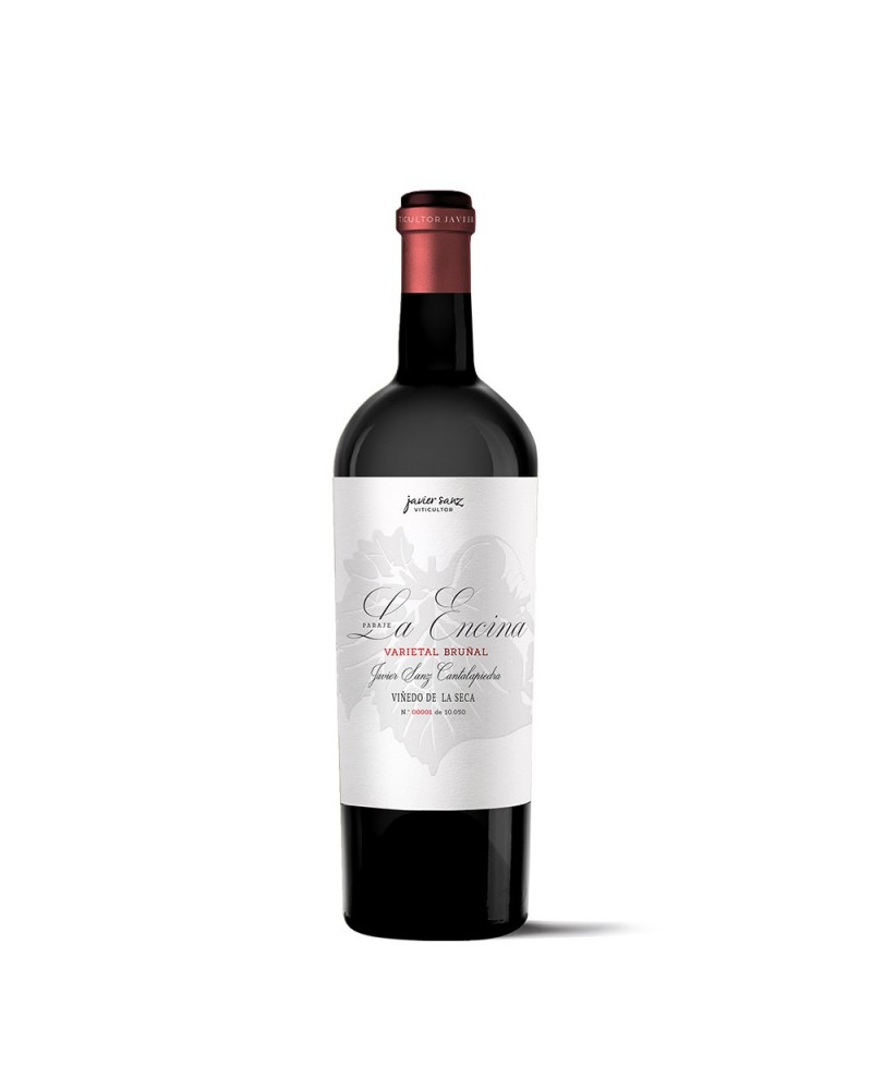 Javier Sanz Bruñal 2018