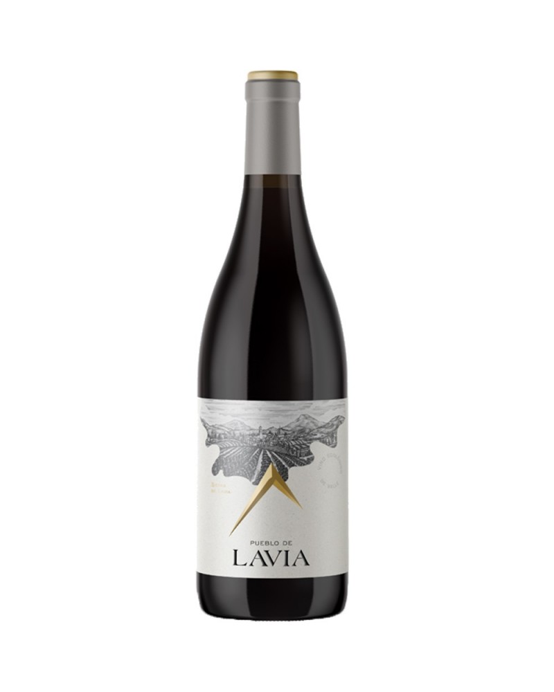 mo salinas - comprar mo salinas - comprar tinto alicante - vino tinto - vino