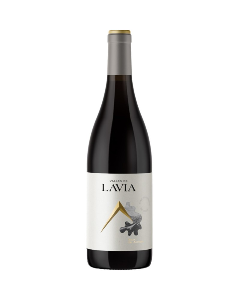 Lavia Plus 2015