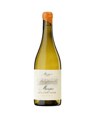 Finca Calvestra Blanco mustiguillo Margas  2016