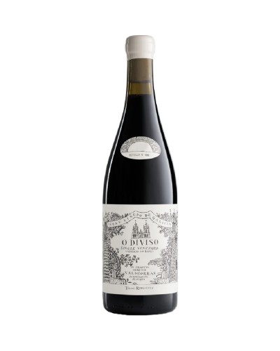 GABA DO XIL TINTO MENCIA 