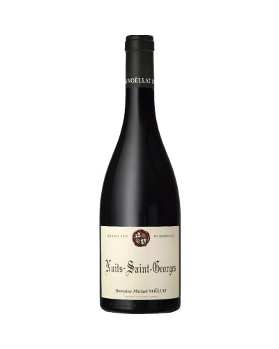 Michel Noëllat Nuits St Georges 2019