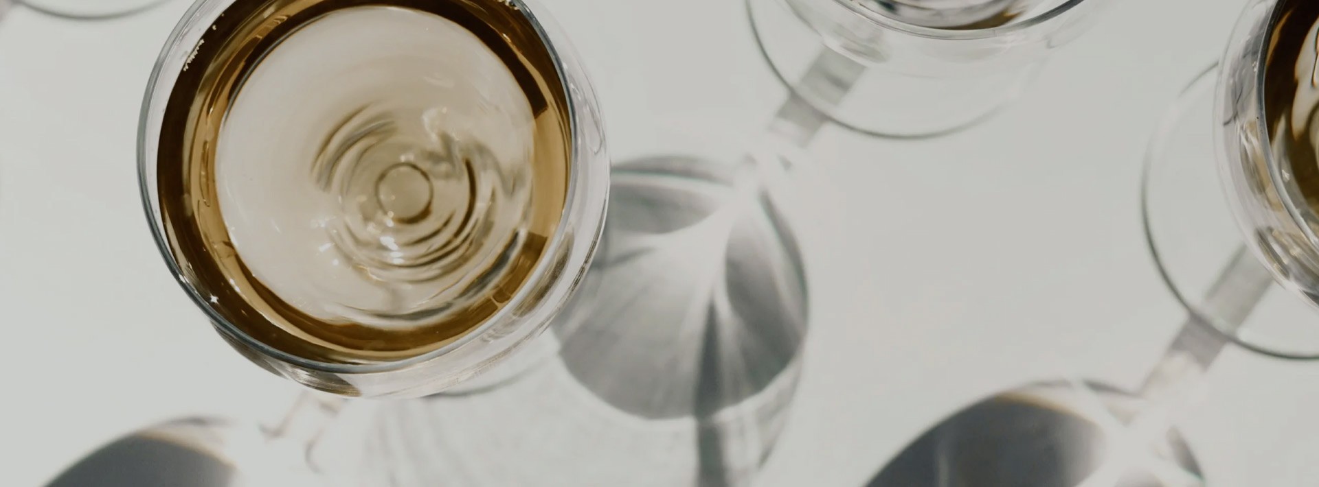 SELECCIÓN VINOS ECOLÓGICOS